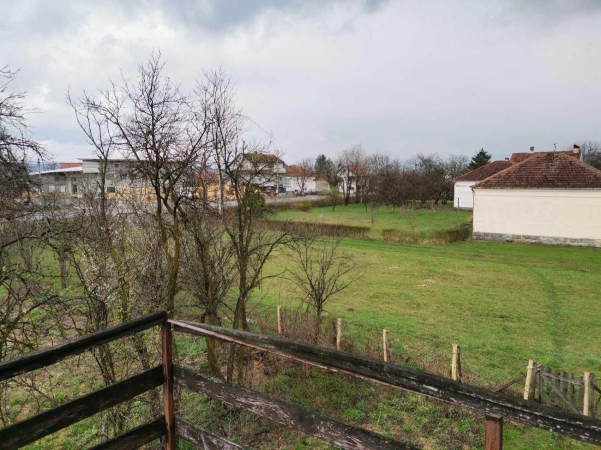 Vila Milica Kraljevo Dış mekan fotoğraf