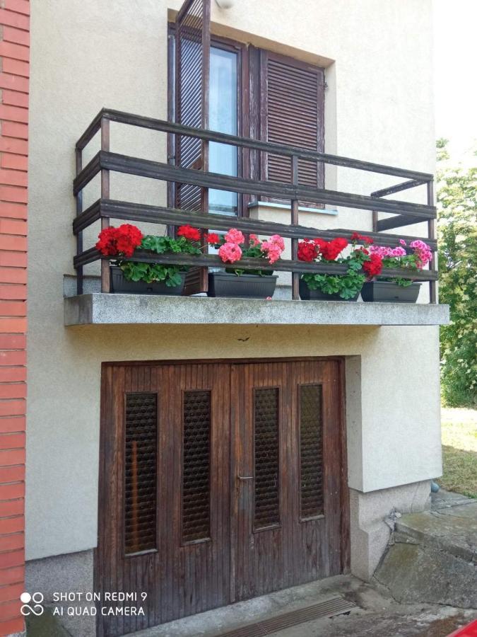 Vila Milica Kraljevo Dış mekan fotoğraf